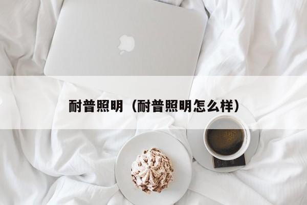 耐普照明（耐普照明怎么样）