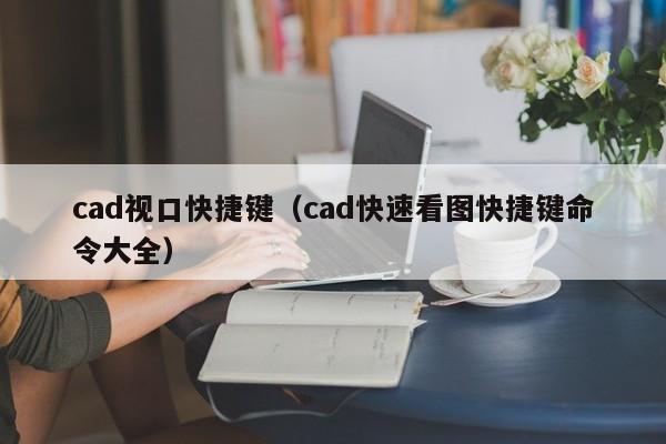 cad视口快捷键（cad快速看图快捷键命令大全）