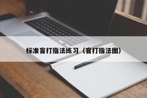 标准盲打指法练习（盲打指法图）