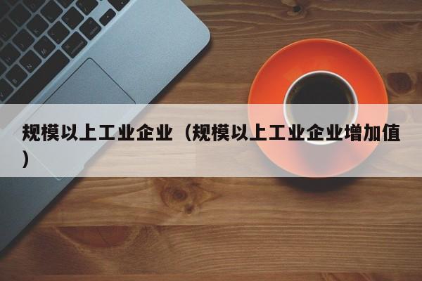 规模以上工业企业（规模以上工业企业增加值）