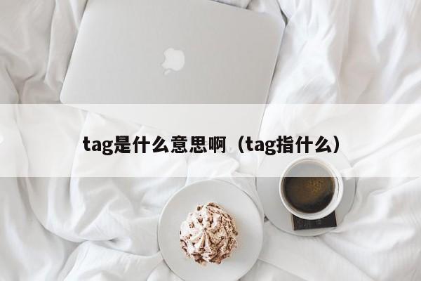 tag是什么意思啊（tag指什么）