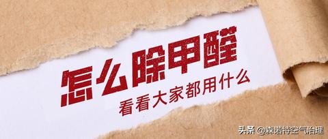 地毯改造换新多少钱一平米，地毯改造费用参考价位