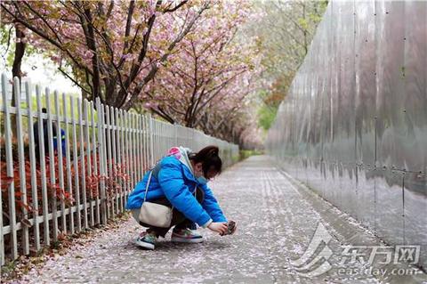 杨浦奢华地毯价格查询，杨浦地毯定制服务