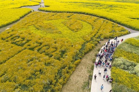 淮安家居地毯出厂价查询，淮安地毯厂家价格一览