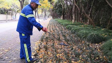 上海本地地毯保洁价格多少（详解上海地毯清洁费用）