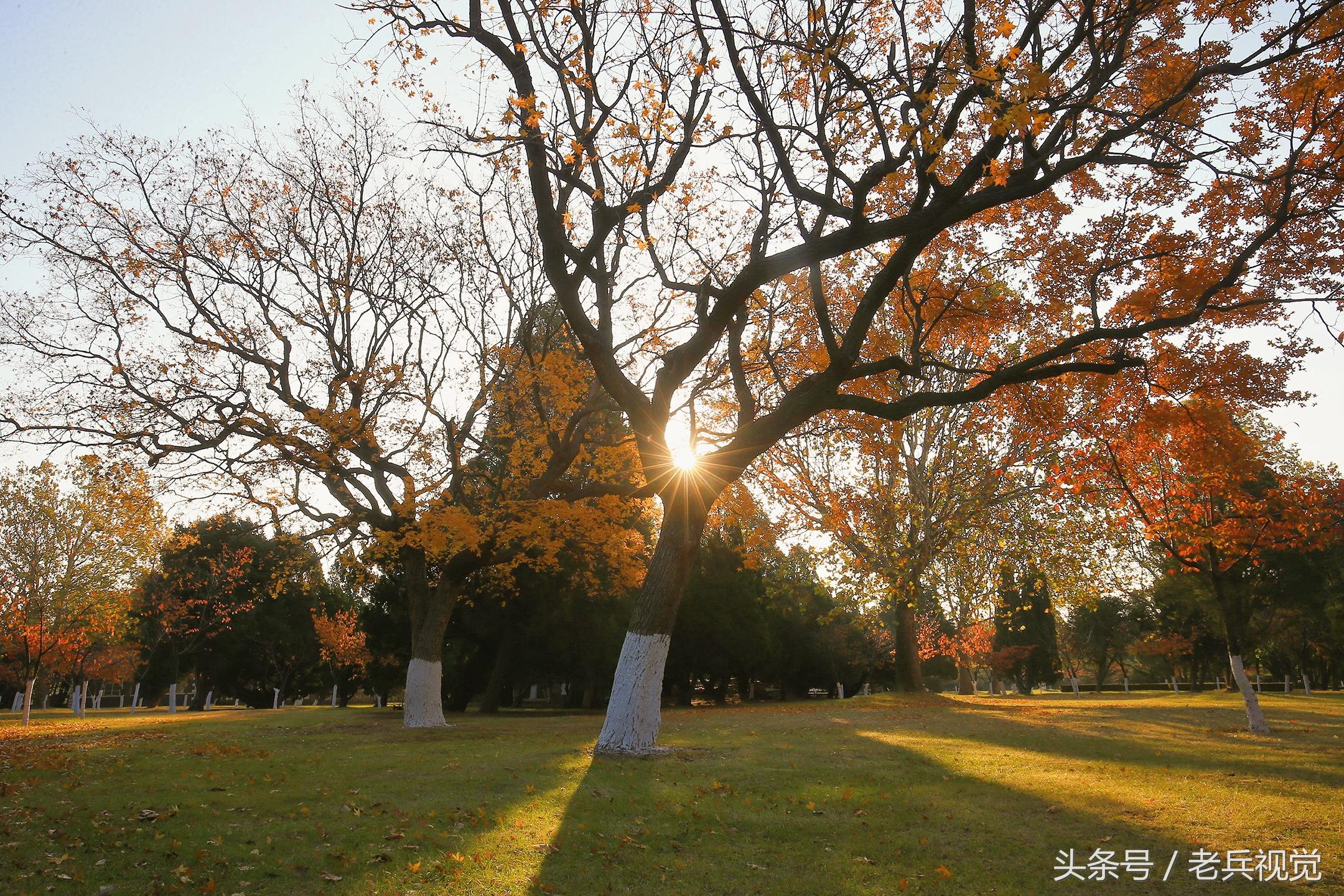 大连地毯定制价格多少（大连地毯定制价格查询）