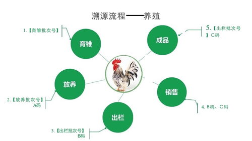 舒心家纺如何进行网络营销,舒心家纺营销策略分享