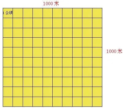 300平米等于多少长宽 300平米是多大