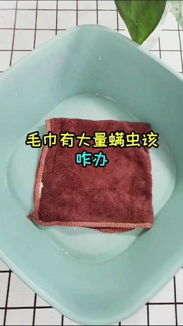 浴巾怎么洗家纺（家纺清洁小技巧）