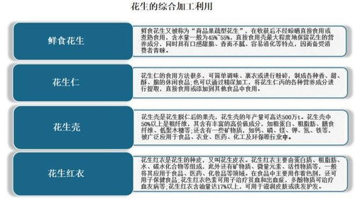 家纺类技术先进性怎么写（家纺领域技术发展现状及未来趋势）