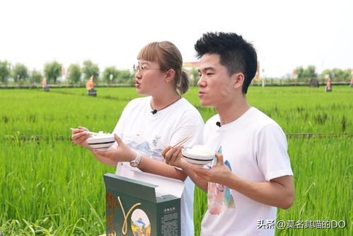 带货家纺推荐，如何写带货家纺推荐文案