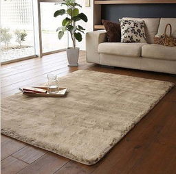 丝毛地毯一平米多少钱，丝毛地毯价格表