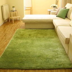 丝毛地毯一平米多少钱，丝毛地毯价格表