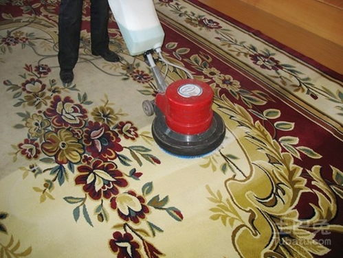 虹口区品质地毯保洁服务价格查询及保养建议