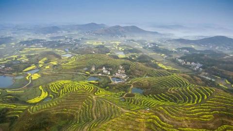 荆州地毯高度多少米（荆州地毯的特点及尺寸测量方法）