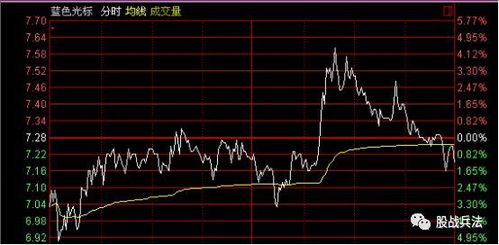 新洲地毯种类大揭秘，新洲地毯的颜色材质分类