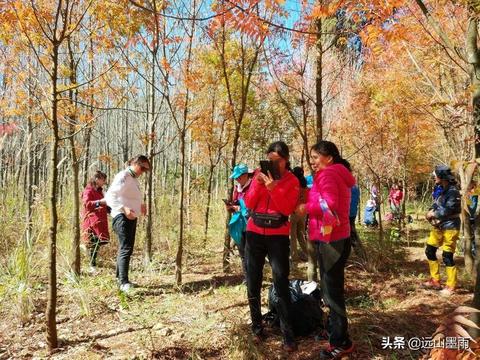 新城区宾馆地毯价格查询，新城区宾馆地毯选择指南