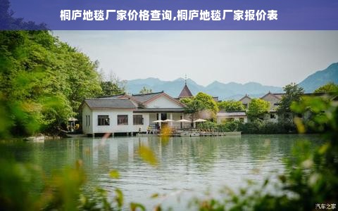 桐庐地毯厂家价格查询,桐庐地毯厂家报价表