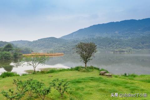 合川办公室地毯哪家好，办公室地毯价格一览