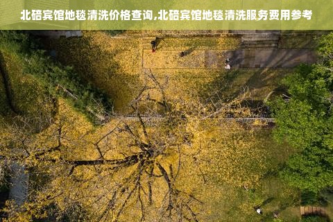 北碚宾馆地毯清洗价格查询,北碚宾馆地毯清洗服务费用参考