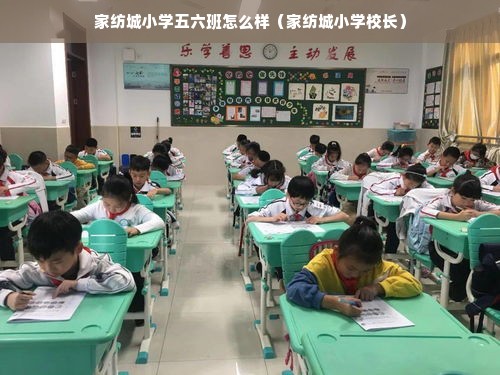 家纺城小学五六班怎么样（家纺城小学校长）