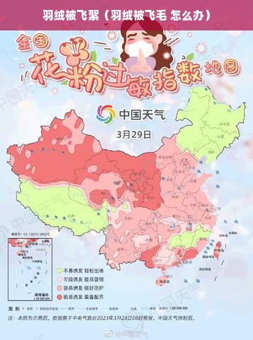 羽绒被飞絮（羽绒被飞毛 怎么办）