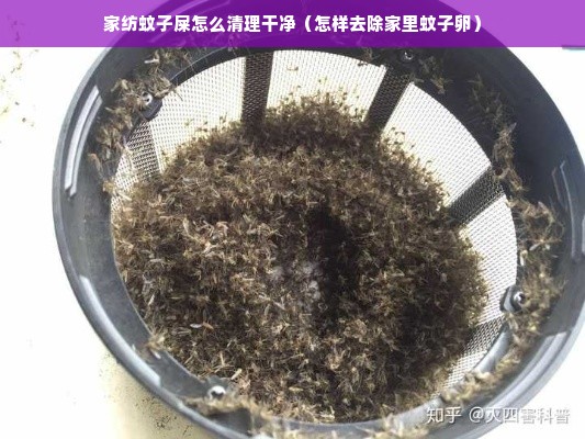 家纺蚊子屎怎么清理干净（怎样去除家里蚊子卵）