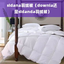 sidana羽绒被（downia还是sidanda羽绒被）