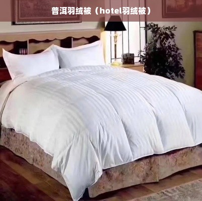 普洱羽绒被（hotel羽绒被）