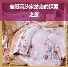 洛阳丽莎家纺店的探索之旅