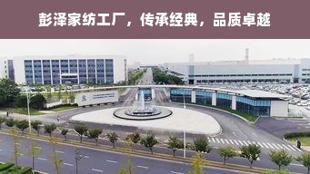 5A鹅绒被的奢华之旅，探寻最高等级的羽绒被