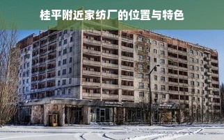 新建区定做鹅绒被店探秘，位置与特色一览