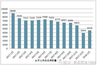 瑞金服装品牌，传承红色文化，引领时尚潮流