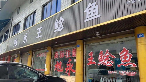 镇宁江龙家纺店在哪里？