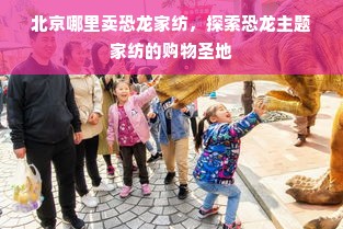 北京哪里卖恐龙家纺，探索恐龙主题家纺的购物圣地