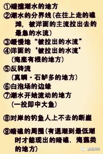 滨州鹅绒被供应商电话地址大全，一站式采购指南