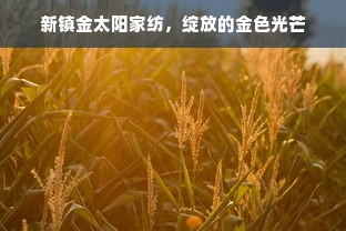 新镇金太阳家纺，绽放的金色光芒