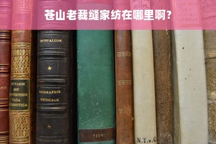 苍山老裁缝家纺在哪里啊？