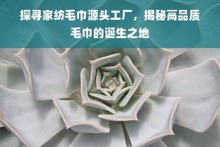 探寻家纺毛巾源头工厂，揭秘高品质毛巾的诞生之地