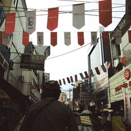 燎原镇家纺店在哪里，探寻家纺行业新风向