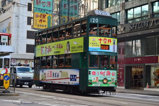 寻找长垣南街家纺，一个传统市场的现代之旅