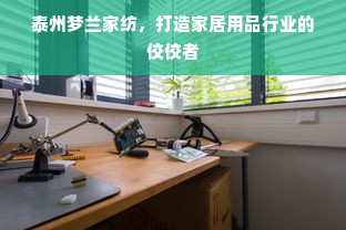 泰州梦兰家纺，打造家居用品行业的佼佼者