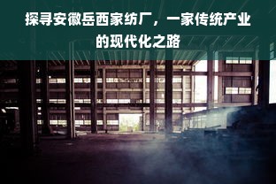 探寻安徽岳西家纺厂，一家传统产业的现代化之路