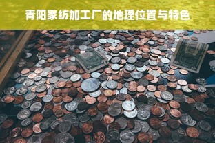 青阳家纺加工厂的地理位置与特色