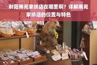 射阳南苑家纺店在哪里啊？详解南苑家纺店的位置与特色