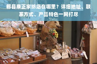 郫县康正家纺店在哪里？详细地址、联系方式、产品特色一网打尽