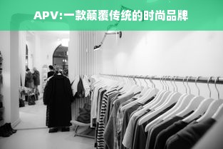 APV:一款颠覆传统的时尚品牌