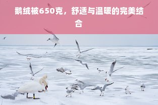 鹅绒被650克，舒适与温暖的完美结合