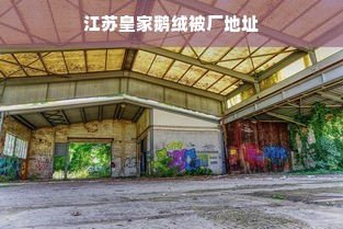 江苏皇家鹅绒被厂地址