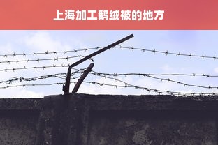 上海加工鹅绒被的地方